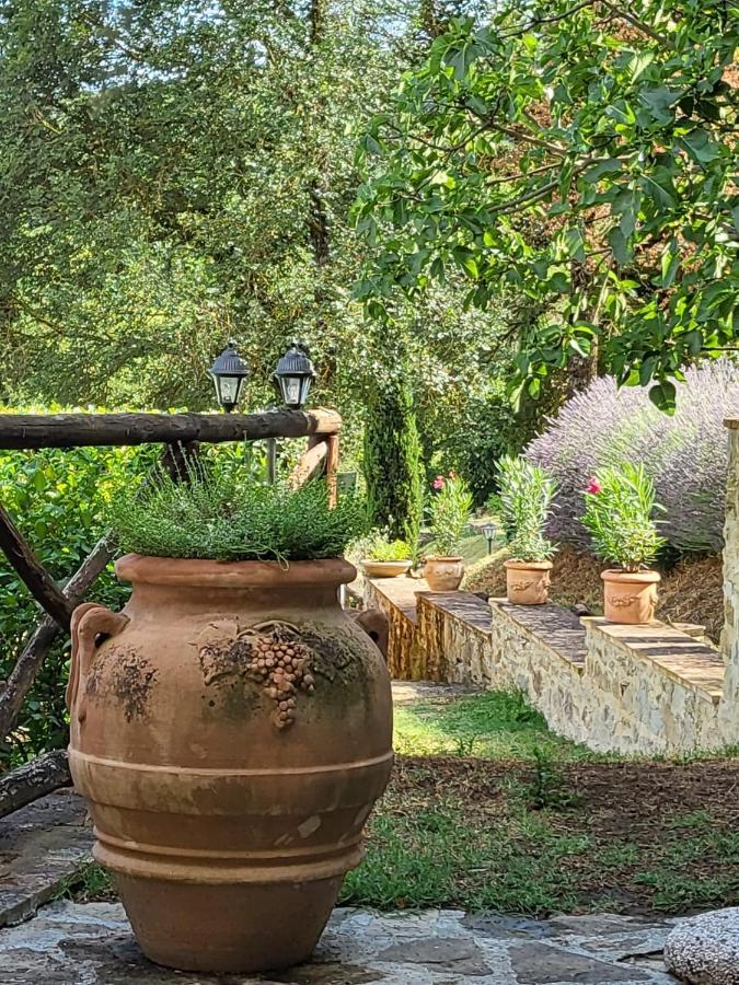 Luxury 1-Bedroom House With The Pool In Tuscany. Anghiari Luaran gambar