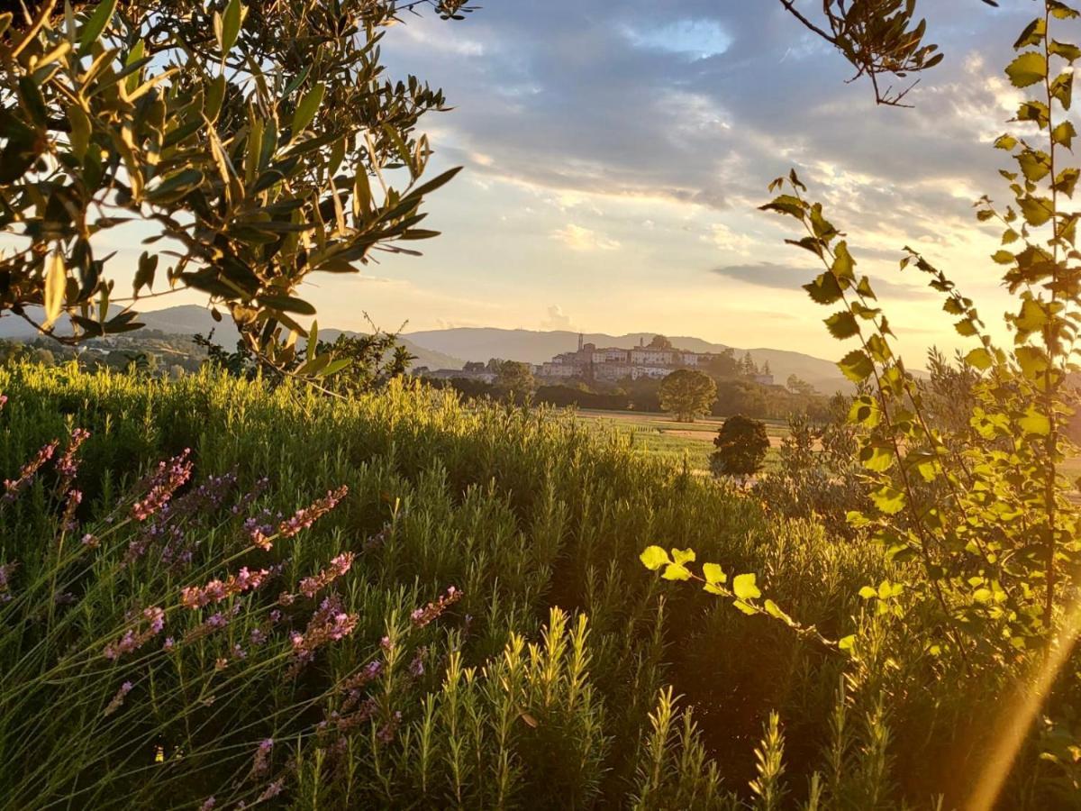 Luxury 1-Bedroom House With The Pool In Tuscany. Anghiari Luaran gambar