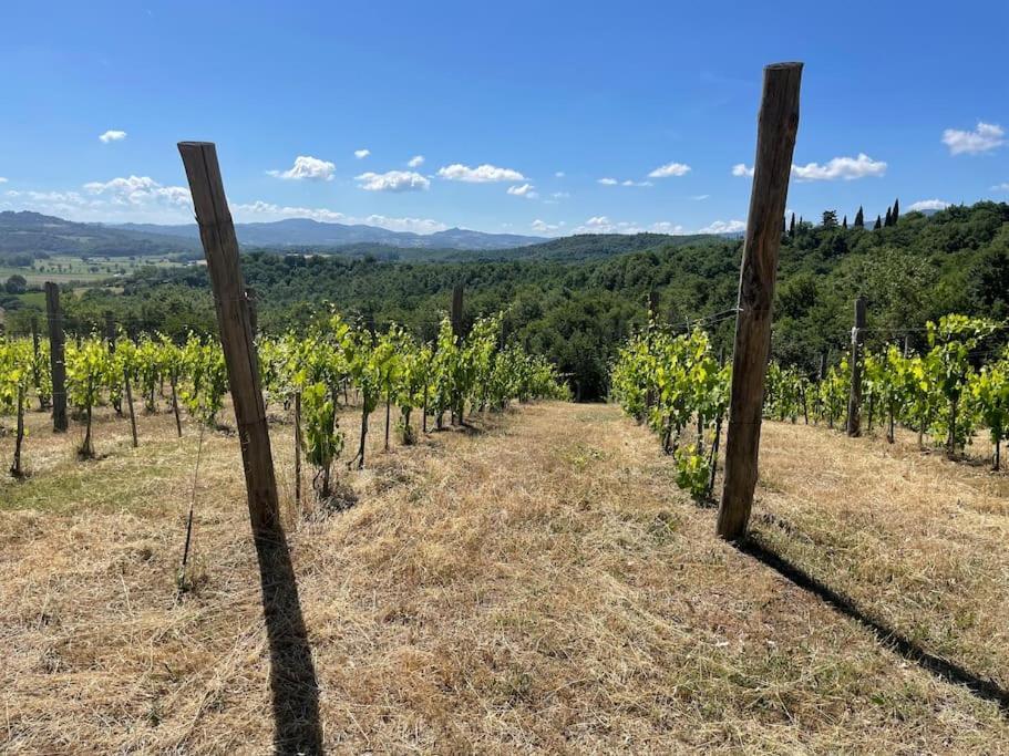 Luxury 1-Bedroom House With The Pool In Tuscany. Anghiari Luaran gambar