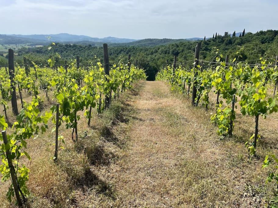 Luxury 1-Bedroom House With The Pool In Tuscany. Anghiari Luaran gambar